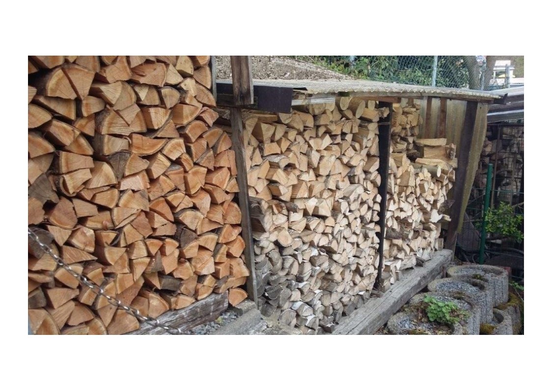 Holz